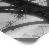 Poster de Ghost Raven (Coin)