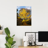 Poster de Ginkgo Biloba Tree (Bureau à domicile)