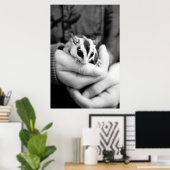 Poster de Glider de sucre (Bureau à domicile)