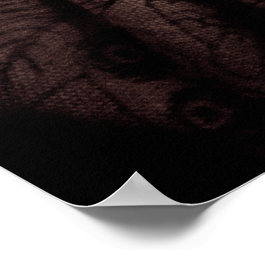 Poster de Glider de sucre (Coin)