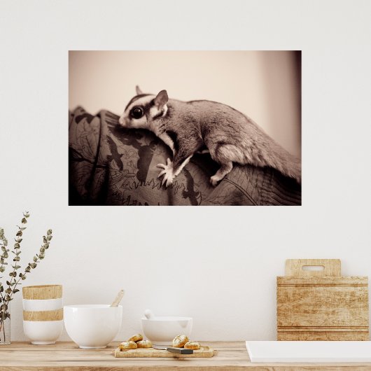 Poster de Glider de sucre (Cuisine)