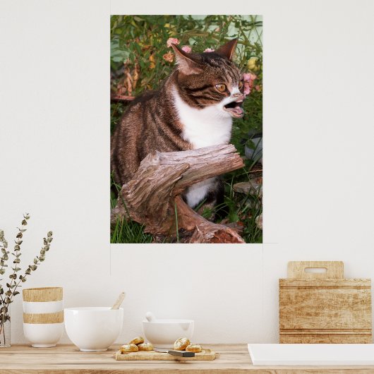 Poster de Goacat (Cuisine)