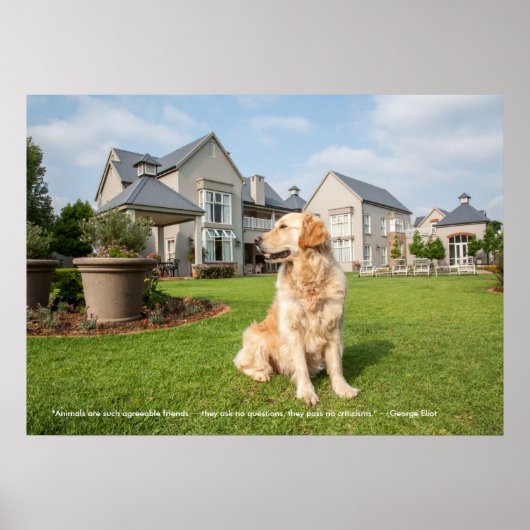 Poster de Golden Retriever avec citation (Devant)