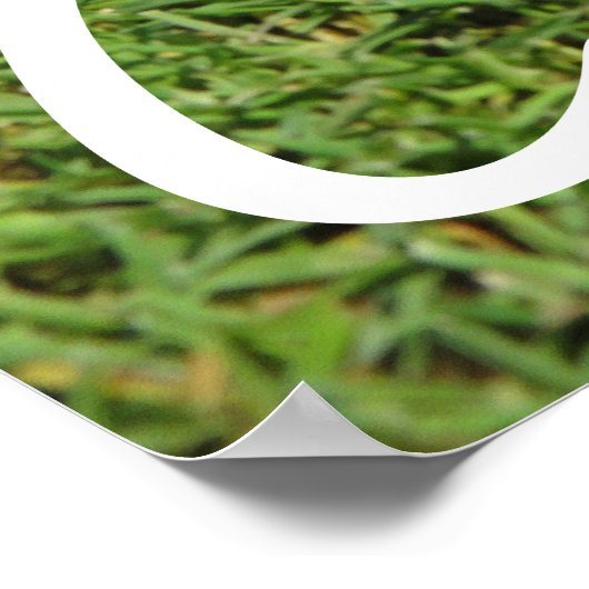 Poster de golf customisé (Coin)