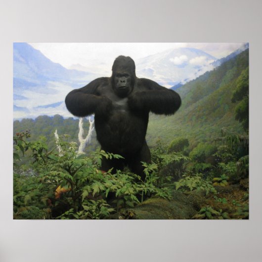Poster de Gorilla (Devant)