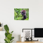 Poster de Gorilla (Bureau à domicile)