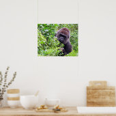Poster de Gorilla (Cuisine)