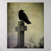 Poster de Goth Crow (Devant)