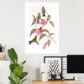 Poster de Goulds Hummingbirds (Bureau à domicile)