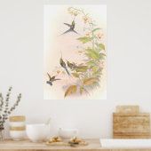 Poster de Goulds Hummingbirds (Cuisine)