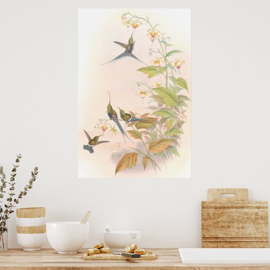 Poster de Goulds Hummingbirds (Cuisine)