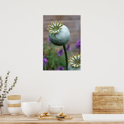 Poster de graines (Cuisine)