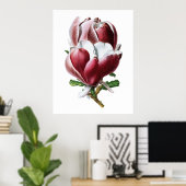 Poster de grandes fleurs rose magnolia (Bureau à domicile)
