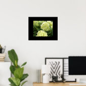Poster de Green Hydrangeas (Bureau à domicile)