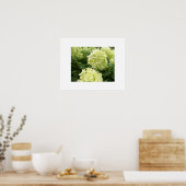 Poster de Green Hydrangeas (Cuisine)
