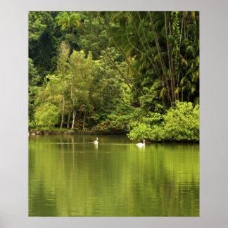 Poster de Green Lake