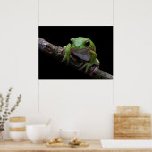 Poster de grenouille (Cuisine)