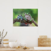 Poster de grenouille (Cuisine)