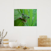 Poster de grenouille (Cuisine)