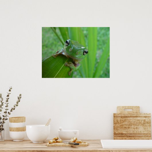 Poster de grenouille (Cuisine)