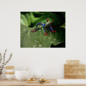 Poster de grenouille (Cuisine)