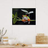 Poster de grenouille (Cuisine)