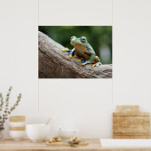 Poster de grenouille (Cuisine)