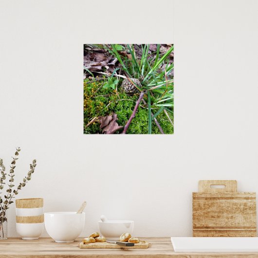 Poster de Grey Morel (Cuisine)