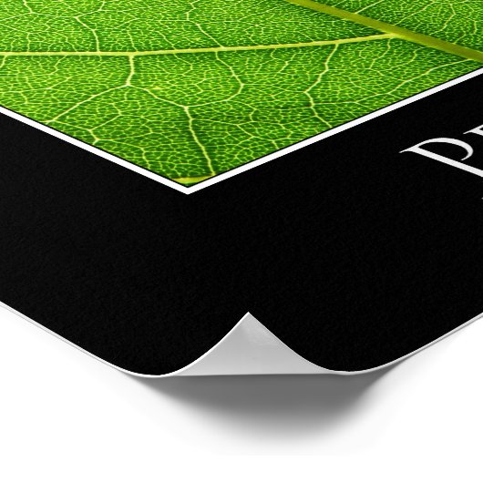 Poster de gros plan (Coin)