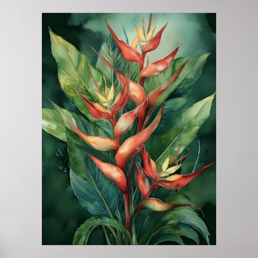 Poster de Hamakua Heliconia (Devant)