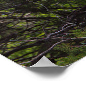 Poster de Heron Bird in Tree (Coin)