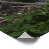 Poster de Heron Bird in Tree (Coin)