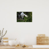 Poster de Heron Bird in Tree (Cuisine)