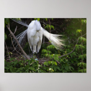 Poster de Heron Bird in Tree