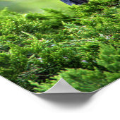 Poster de héros de nuit jaune juvénile (Coin)