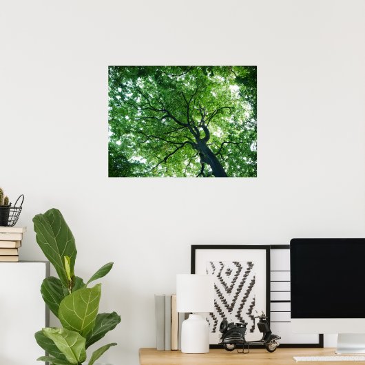 Poster de hêtre (Bureau à domicile)