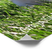 Poster de Holland Lop Standing Up (Coin)