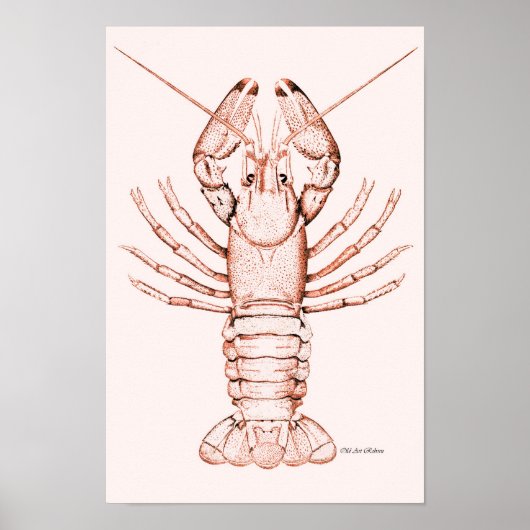 Poster de homard ~ Poisson-gris de rivière (Devant)