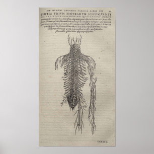 Poster De Humani Corporis