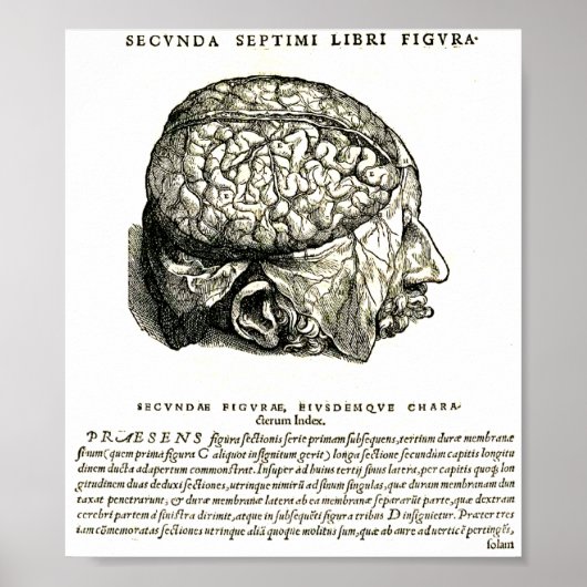 Poster De Humani Corporis (Devant)