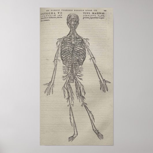 Poster De Humani Corporis (Devant)