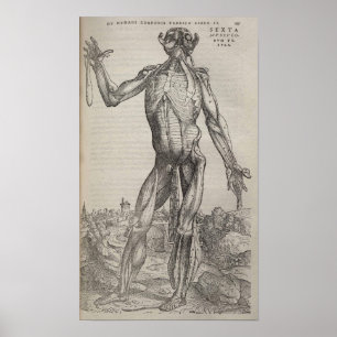 Poster De Humani Corporis