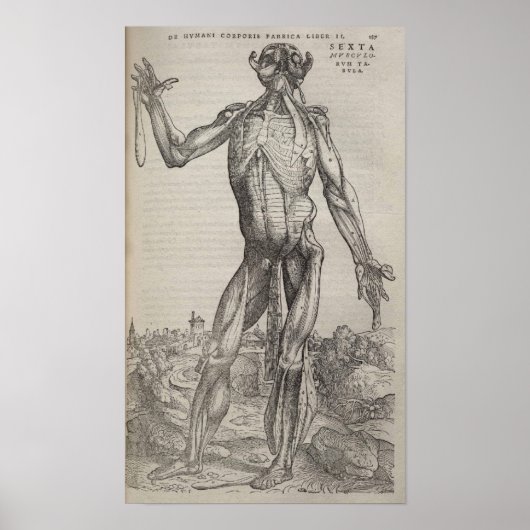 Poster De Humani Corporis (Devant)