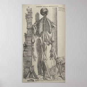 Poster De Humani Corporis