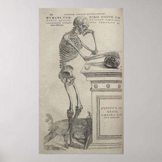 Poster De Humani Corporis (Devant)