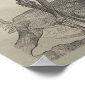 Poster De Humani Corporis (Coin)