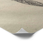 Poster De Humani Corporis (Coin)