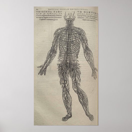 Poster De Humani Corporis (Devant)