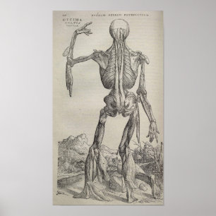 Poster De Humani Corporis