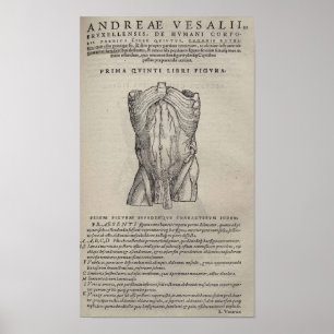 Poster De Humani Corporis